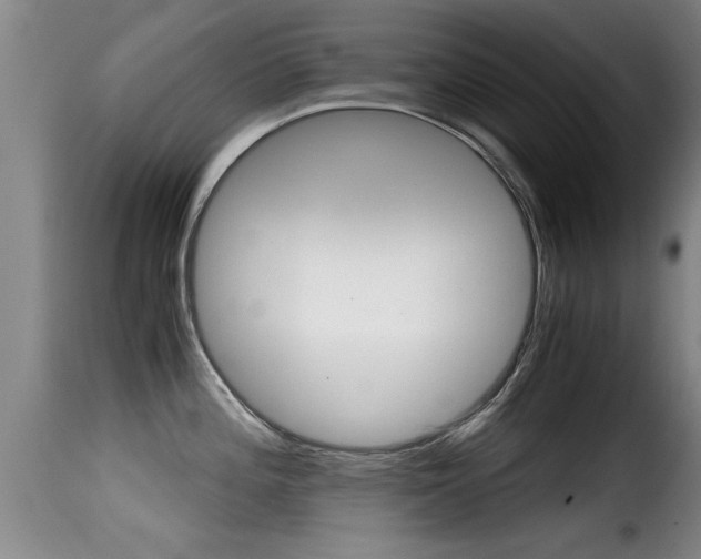 X0000116061196200911201153