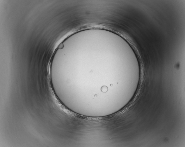 X0000116061198200911201153