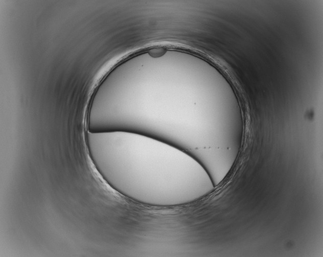 X0000116061199200911201153