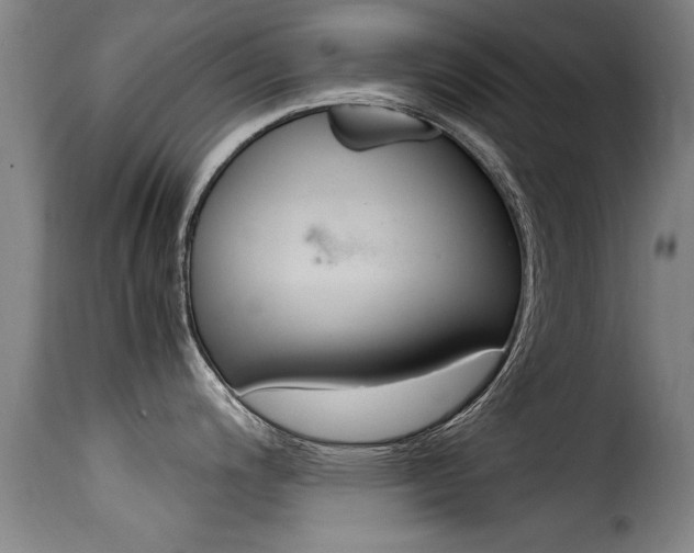 X0000116061200200911201153