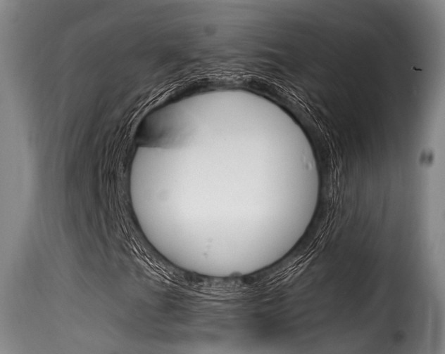 X0000116061201200911201153