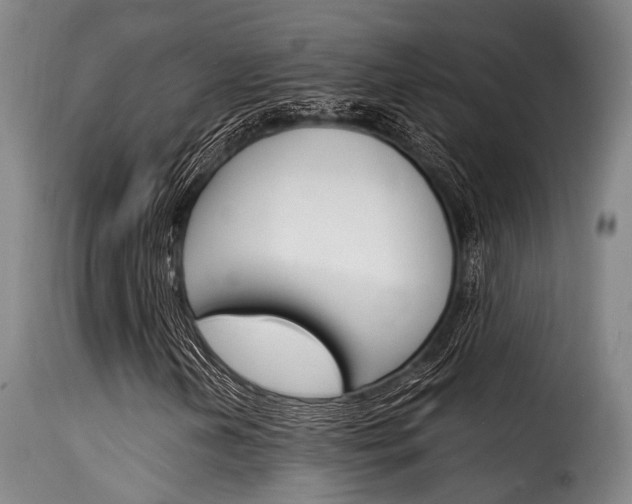 X0000116061202200911201153
