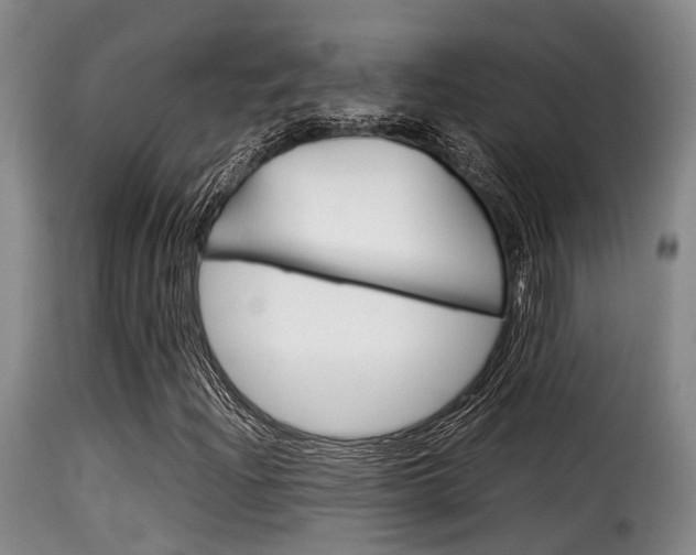 X0000116061204200911201153