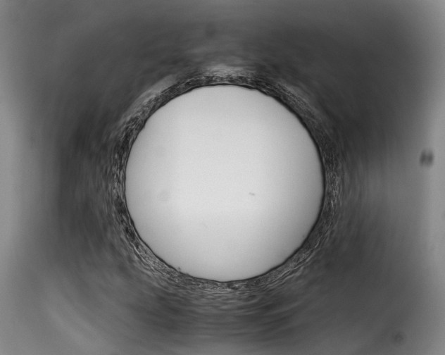 X0000116061207200911201153