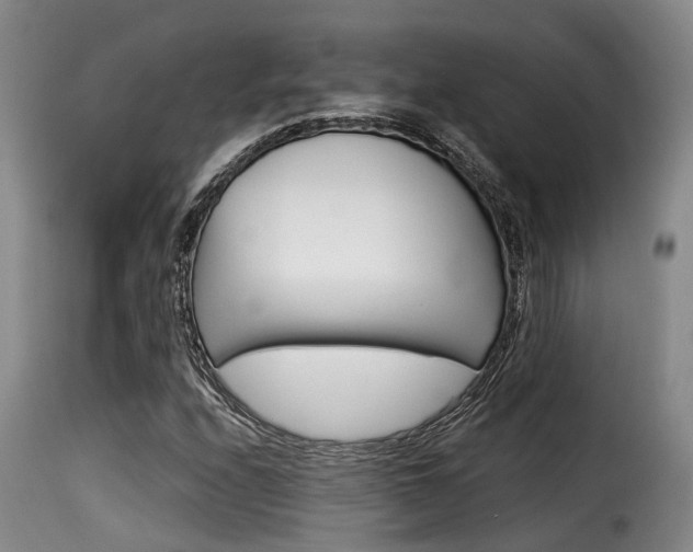 X0000116061208200911201153