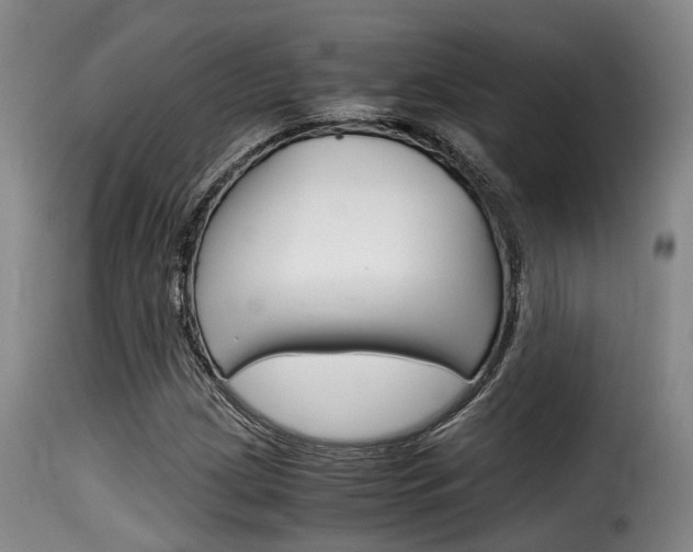 X0000116061209200911201153