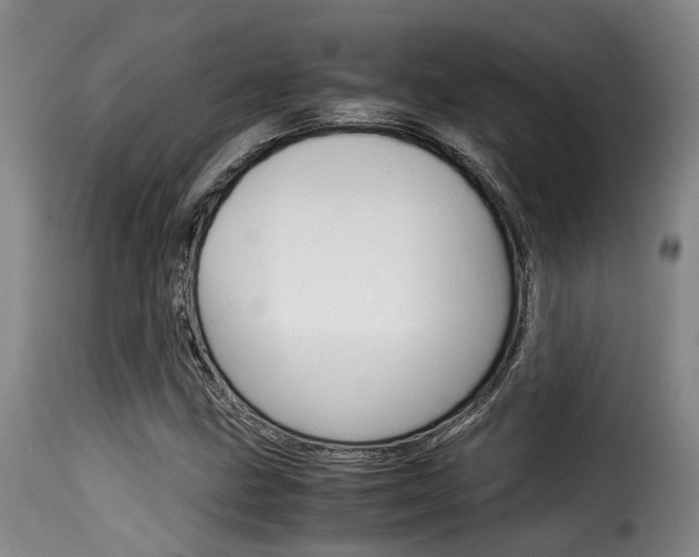 X0000116061211200911201153