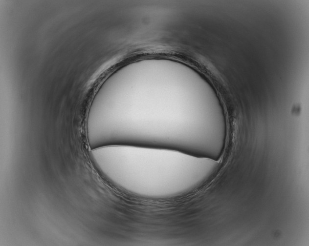 X0000116061213200911201153