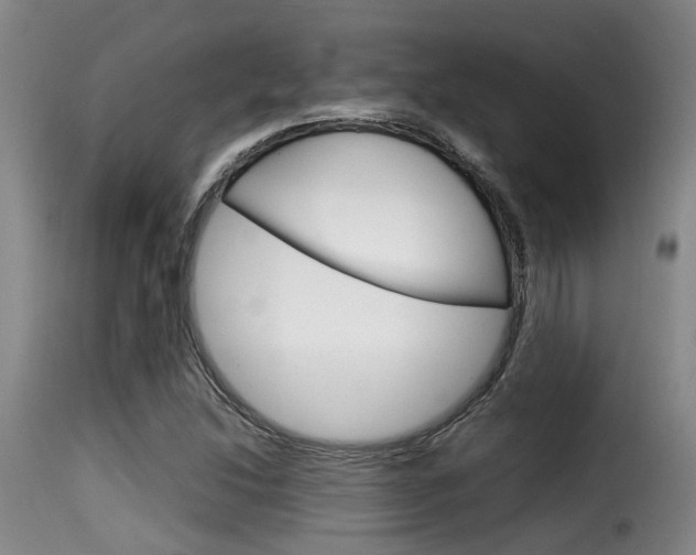 X0000116061214200911201153