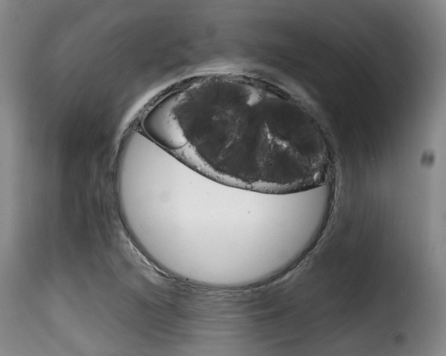 X0000116061216200911201153