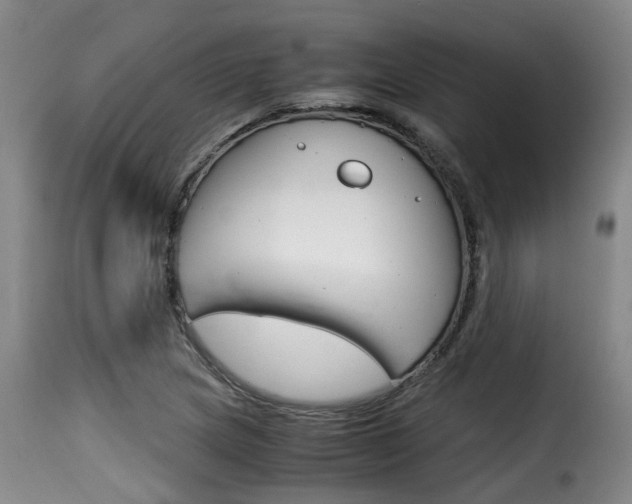 X0000116061217200911201153