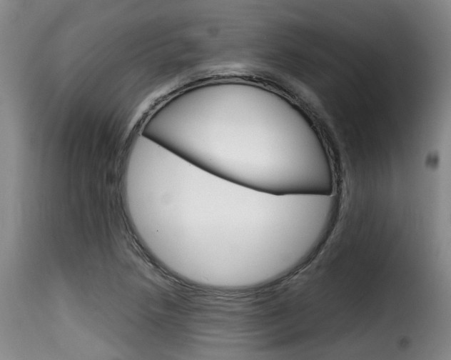 X0000116061218200911201153