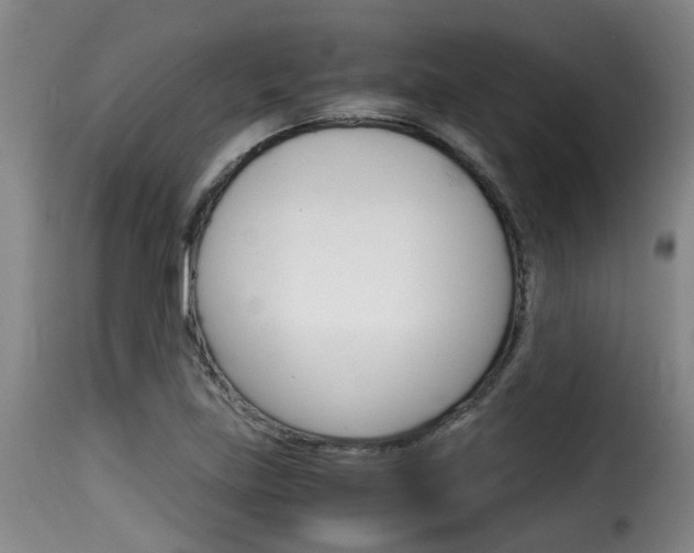 X0000116061219200911201153