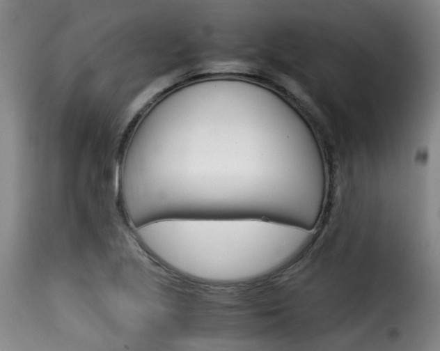 X0000116061221200911201153
