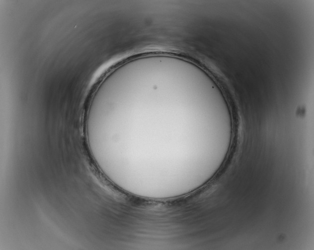 X0000116061222200911201153