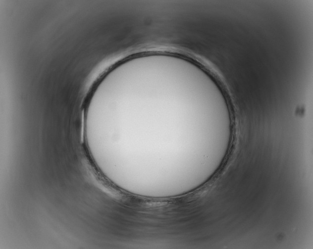 X0000116061223200911201153