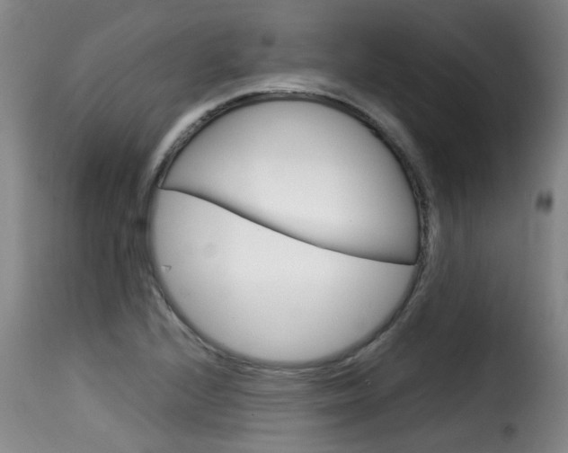 X0000116061224200911201153