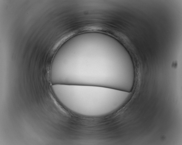 X0000116061225200911201153