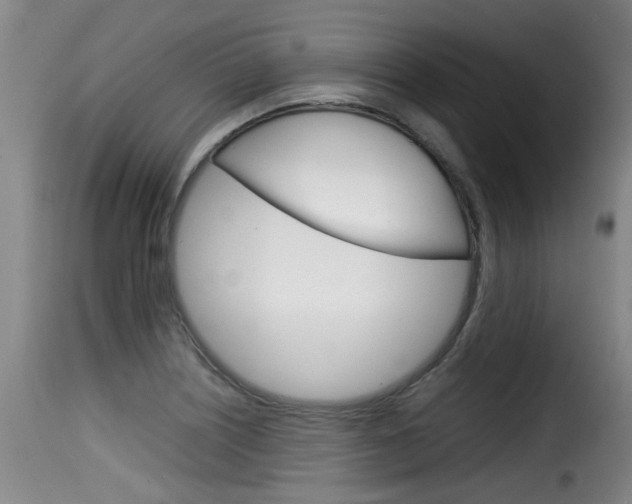 X0000116061226200911201153