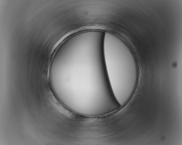 X0000116061228200911201153