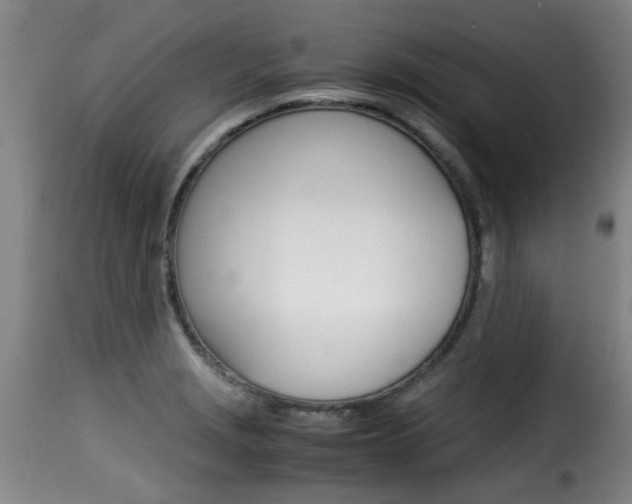 X0000116061229200911201153