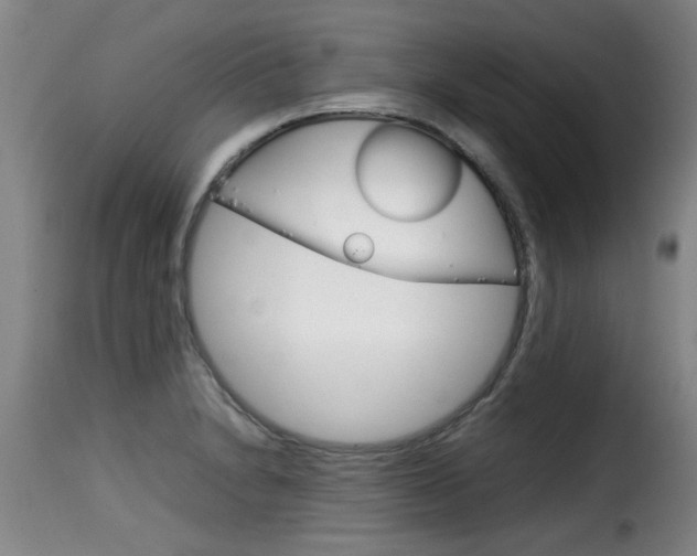 X0000116061230200911201153