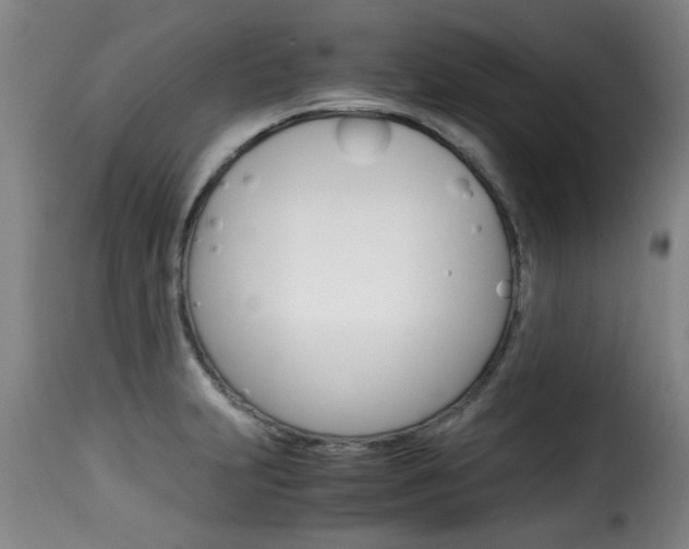 X0000116061231200911201153