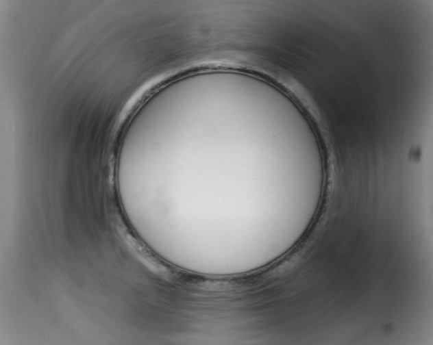 X0000116061232200911201153
