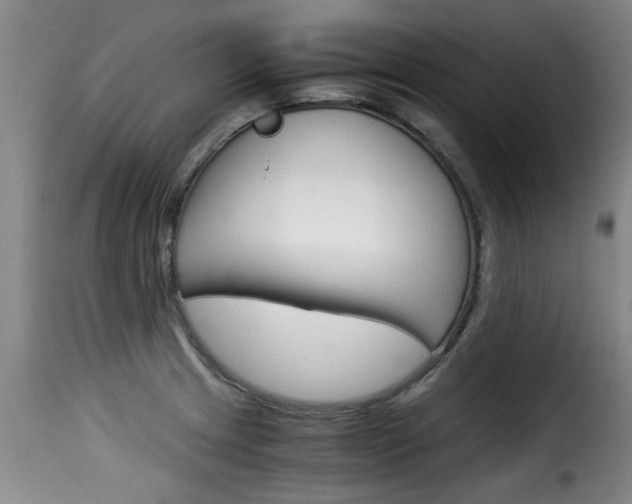 X0000116061233200911201153