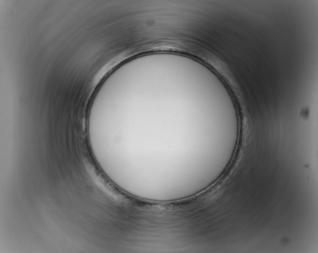 X0000116061234200911201153