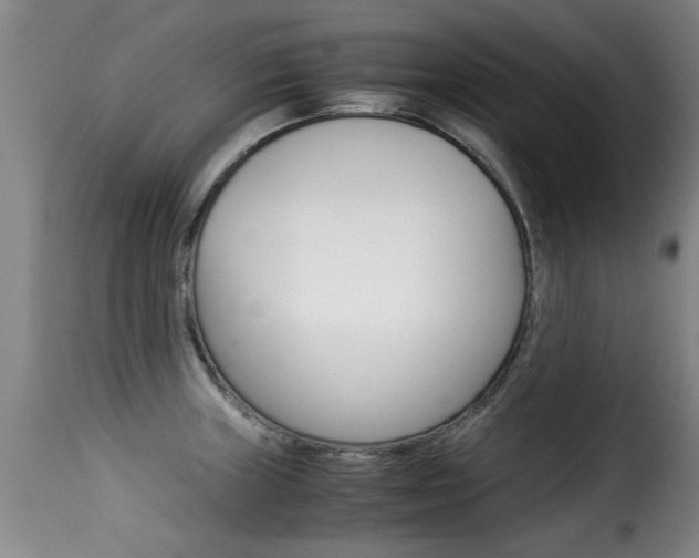 X0000116061235200911201153