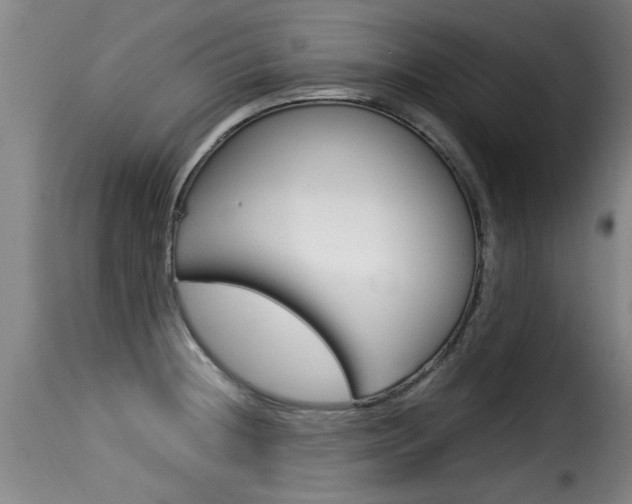 X0000116061236200911201153