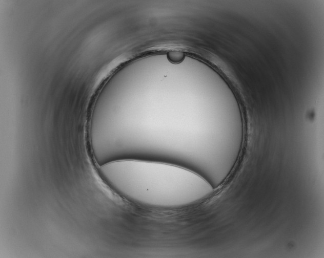 X0000116061237200911201153