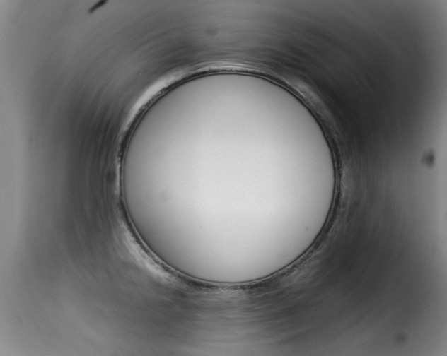 X0000116061238200911201153