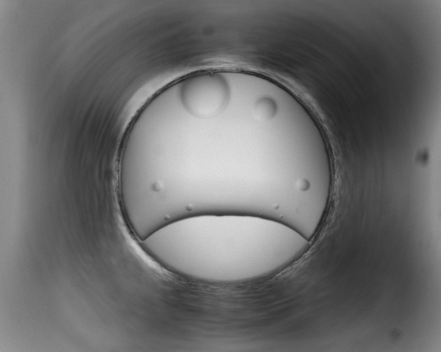 X0000116061239200911201153