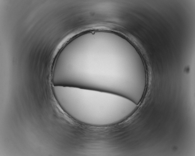 X0000116061240200911201153