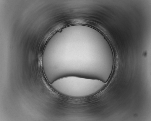 X0000116061241200911201153