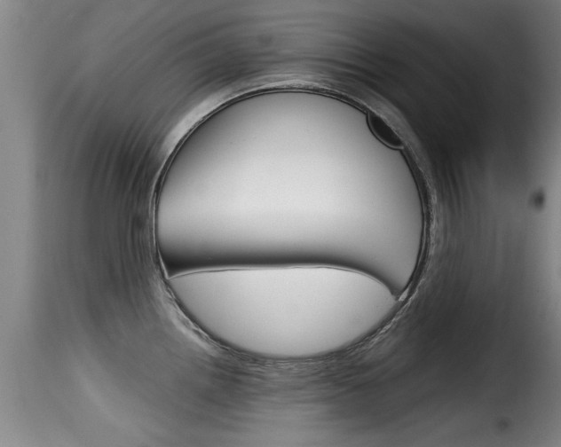 X0000116061242200911201153