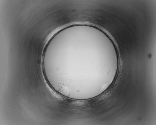 X0000116061245200911201153