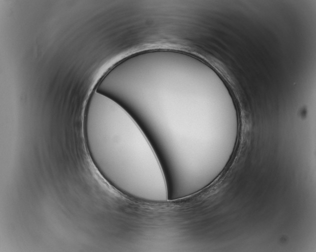 X0000116061246200911201153