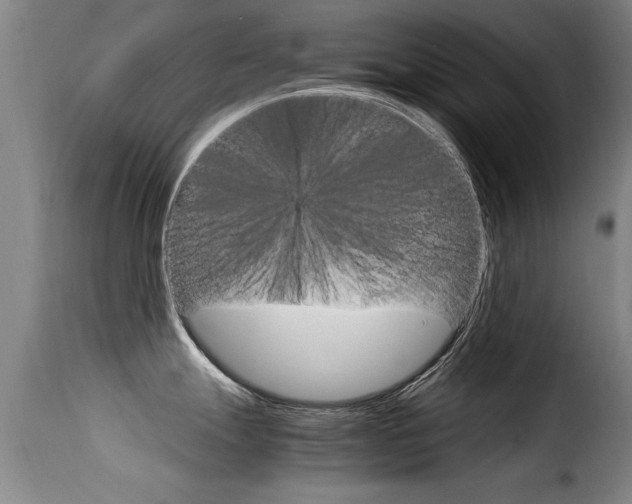 X0000116061247200911201153