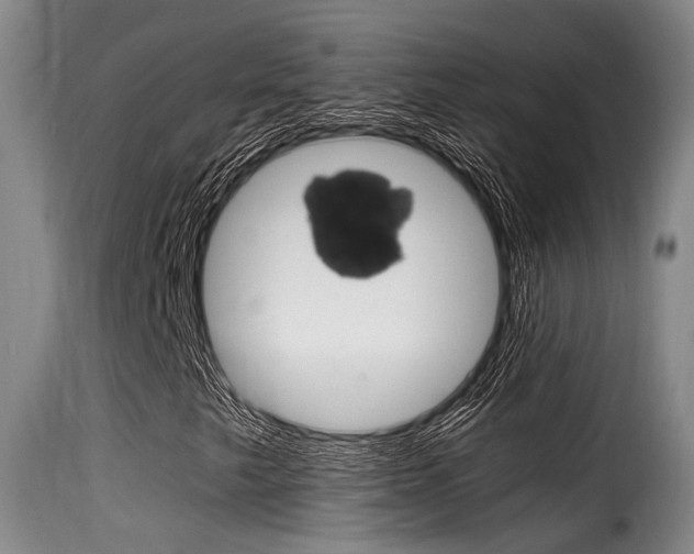 X0000116061249200911201153