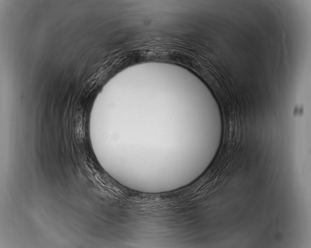 X0000116061250200911201153