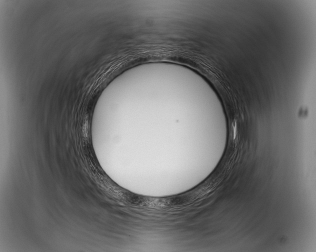 X0000116061251200911201153