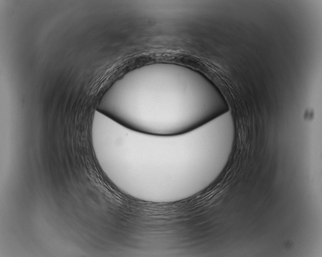 X0000116061252200911201153