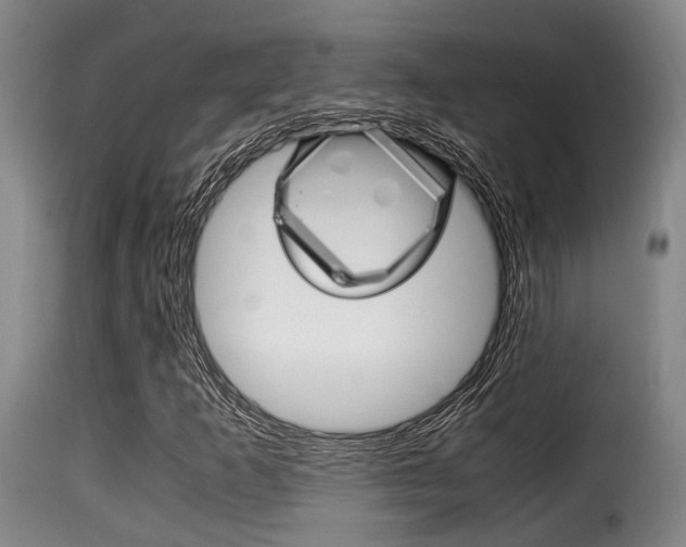 X0000116061253200911201153