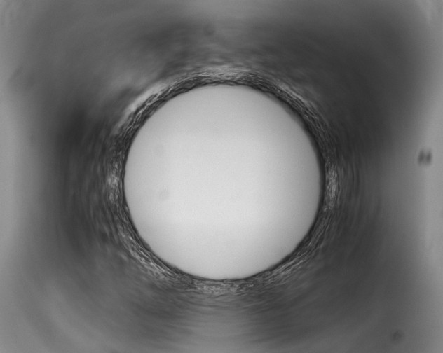 X0000116061254200911201153