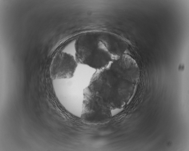 X0000116061255200911201153