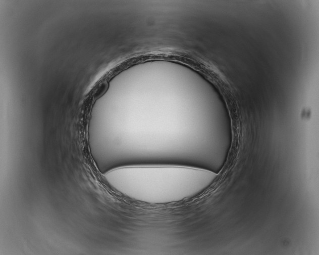 X0000116061256200911201153