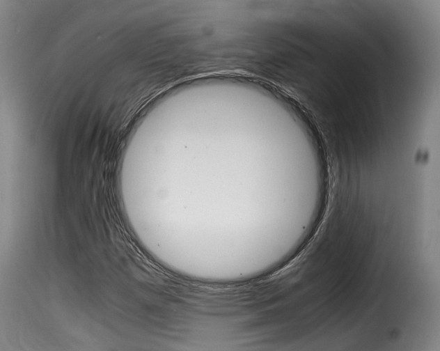 X0000116061257200911201153